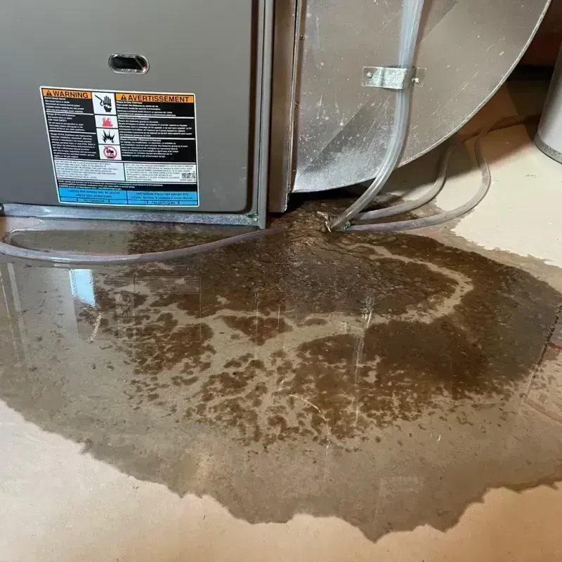 Appliance Leak Cleanup in San Ysidro, NM